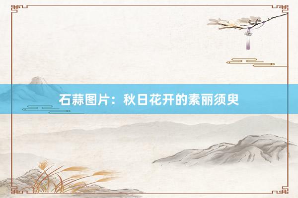 石蒜图片：秋日花开的素丽须臾